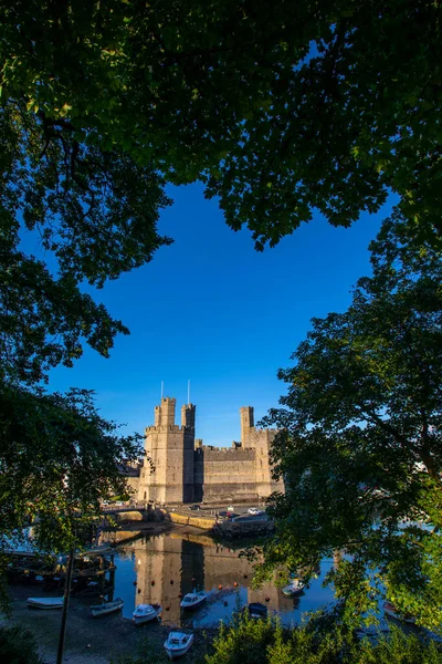 Caernarfon Wales Srpna 2020 Pohled Přes Stromy Historického Hradu Caernarfon — Stock fotografie