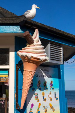 Llandudno, Galler - 3 Eylül 2020: Galler 'deki Llandudno İskelesi' ndeki bir dondurma büfesinin çatısında oturan bir martı..