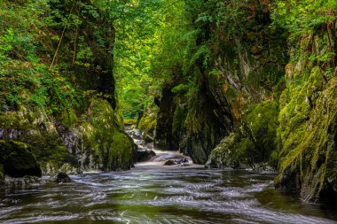 İngiltere 'nin Kuzey Galler kentindeki Betws-y-Coed köyündeki büyüleyici Fairy Glen manzarası..