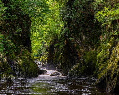 İngiltere 'nin Kuzey Galler kentindeki Betws-y-Coed köyündeki büyüleyici Fairy Glen manzarası..