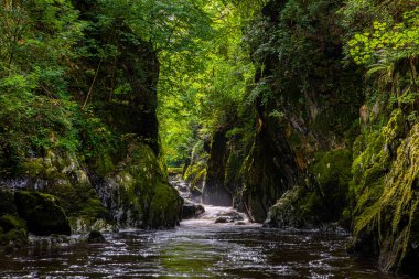 İngiltere 'nin Kuzey Galler kentindeki Betws-y-Coed köyündeki büyüleyici Fairy Glen manzarası..