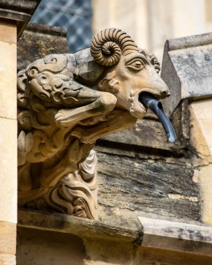 Gloucester Katedrali 'nin dış tarafında Gloucester, İngiltere' deki süslü ve güzel oyulmuş bir Gargoyle 'ın yakın çekimi..