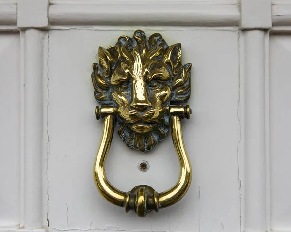 在英国 一只华丽的狮子在白色门上敲门声的特写 — 图库照片