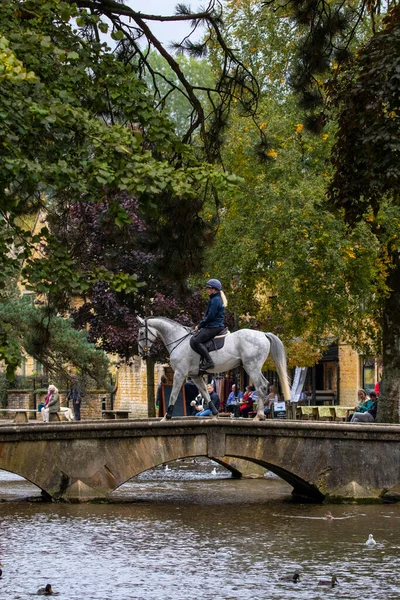 Gloucestershire Großbritannien September 2020 Ein Pferd Überquert Eine Der Niedrigen — Stockfoto