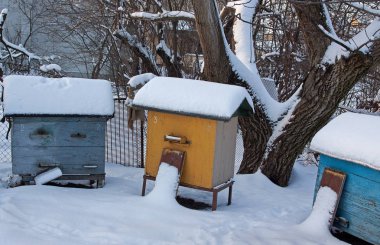 Three hives in winter sprinkled with fluffy snow clipart