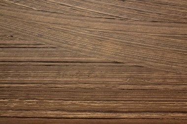 Akdeniz sahilinde bir traktör kum tarafından sabah temizledim. Antibes, Cote d'Azur, Fransa. Yazmak için büyük alan