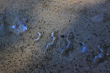 Patikadan bir paletli traktör yolda. Yolun diagonall çalışır