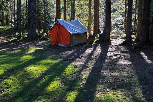 Zelt Nadelwald Den Ausläufern Der Karpaten Ukraine Großer Raum Zum — Stockfoto