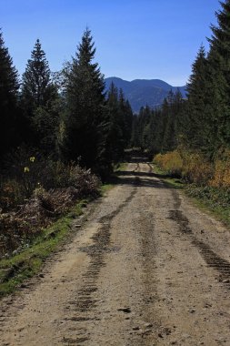 Paletli Traktör parçaları Karpatlar de bir toprak yol