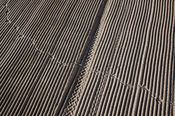 Morgen Wurde Der Sand Mittelmeerstrand Von Einem Traktor Gesäubert Spuren — Stockfoto