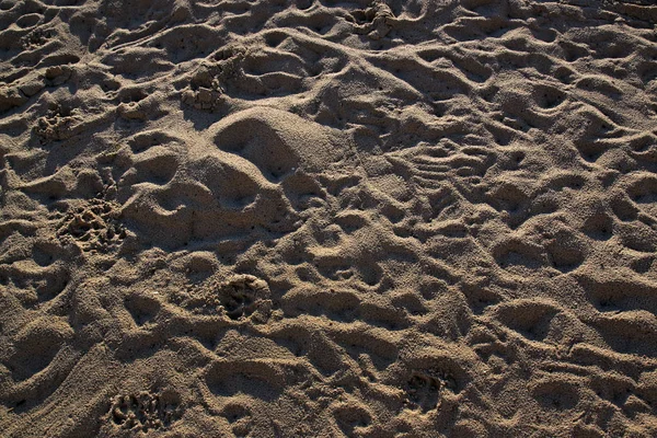 Emberek taposták a Földközi-tenger strandon homok — Stock Fotó