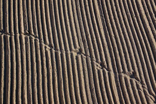 Schoongemaakt door een trekker zand op de Middellandse Zee strand — Stockfoto