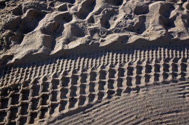 Temizlenmiş bir traktör ve insanlar tarafından çiğnenmiş toptancılığa kumsalda