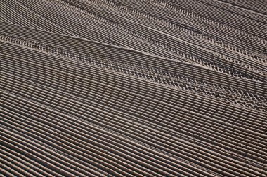 Akdeniz sahilinde bir traktör kum tarafından temizlenir