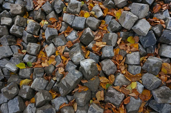 Suché listí na chodníku — Stock fotografie