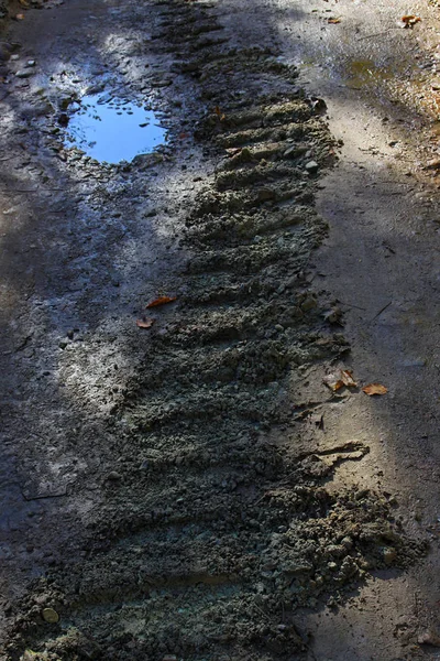 A pista do trator de esteiras — Fotografia de Stock