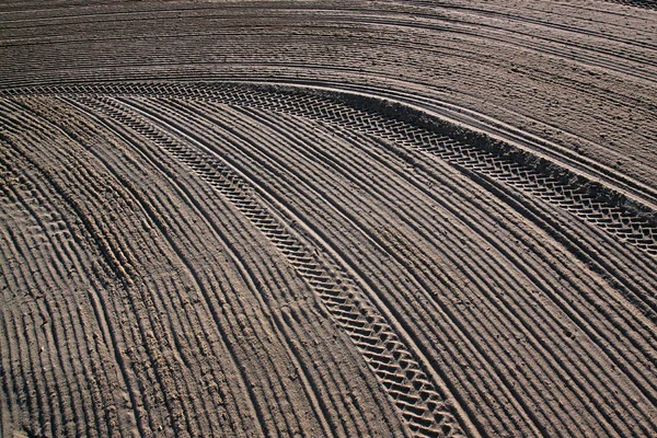 Čitění traktor písku na středomořské pláži — Stock fotografie