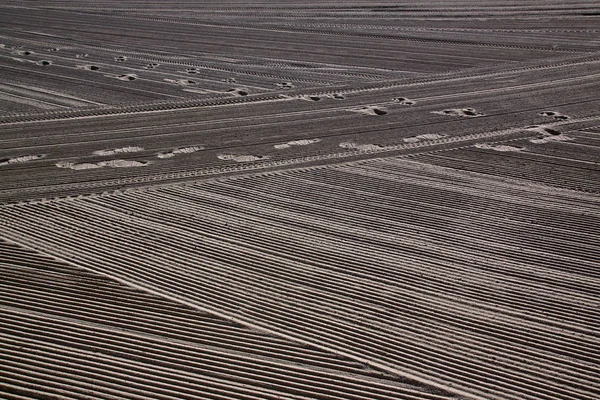 Rastros de hombre en un tractor de arena limpia en el mar Mediterráneo — Foto de Stock