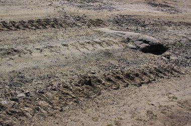 Paletli traktör kavramını 