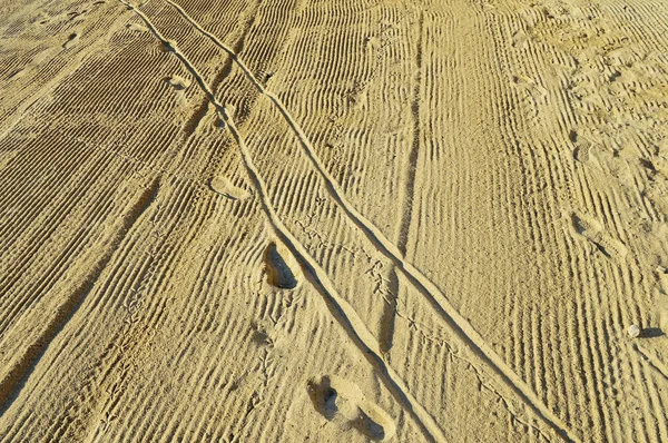 Playa con rastros de personas y pájaros —  Fotos de Stock