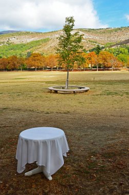 Yalnız bir masa ve çimenlikte bir ağaç.