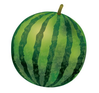 Suluboya karpuz beyaz bir arka plan üzerinde vektör illüstrasyon izole.