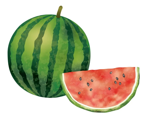 Aquarell-Wassermelonen isolieren sich auf weißem Hintergrund, Vektorillustration. — Stockvektor