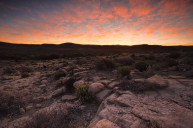 Güney Afrika'da kalahari bölge üzerinde panoramik manzara fotoğraf sayısı