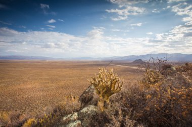 Tankwa Karoo Çölü gökyüzünde dramatik thunderclouds ile panoramik manzarası