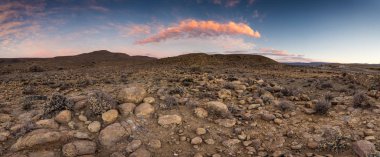 Güney Afrika'da kalahari bölge üzerinde panoramik manzara fotoğraf sayısı