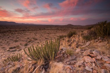 Güney Afrika'da kalahari bölge üzerinde panoramik manzara fotoğraf sayısı