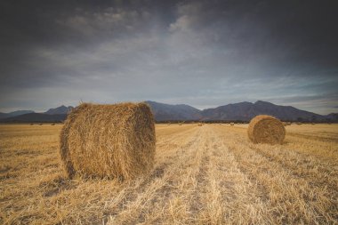 Panoramik manzaralarını sunan büyük saman balya ile bir çayır üzerinde parlak bir gün batımı.