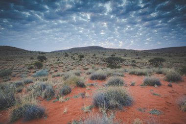 Panoramic landscape photo views over the kalahari region in South Africa clipart