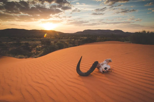 Panorámás Táj Fénykép Kilátás Nyílik Kalahári Régió Dél Afrikai Köztársaság — Stock Fotó