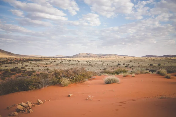 Panorámás Táj Fénykép Kilátás Nyílik Kalahári Régió Dél Afrikai Köztársaság — Stock Fotó