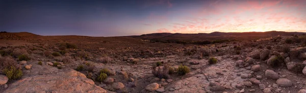 Panoramautsikt Över Landskapet Foto Utsikt Över Kalahari Regionen Sydafrika — Stockfoto