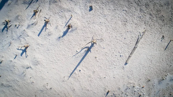 Luftbild Über Einem Sehr Trockenen Damm Waterskloof Während Der Schlimmsten — Stockfoto