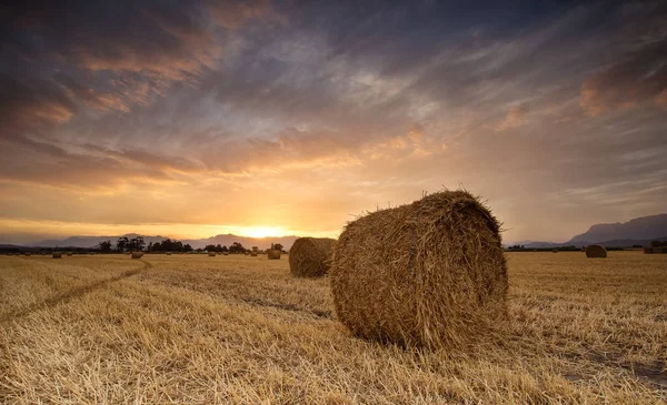 Panoramic Views Brilliant Sunset Meadow Big Hay Bales — Stock Photo, Image