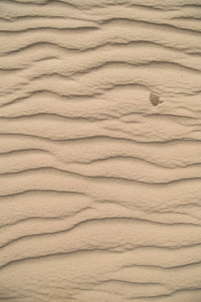 风吹过沙质平原的沙子模式 — 图库照片
