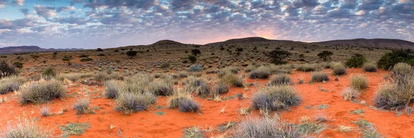 Paisagem Panorâmica Vista Para Região Kalahari África Sul — Fotografia de Stock