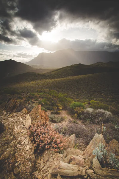 Panoramisch Groothoek Landschap Foto Van Brandwaght Mountains Worcester Zuid Afrika — Stockfoto