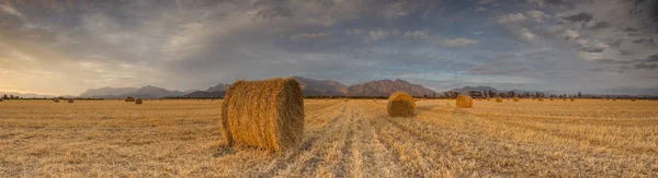 Panoramic Views Brilliant Sunset Meadow Big Hay Bales — Stock Photo, Image