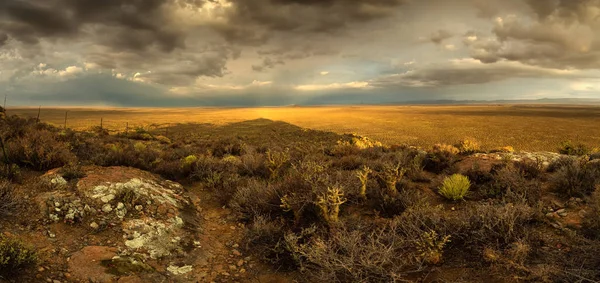 Panoramautsikt Över Tankwa Karoo Öknen Med Dramatiska Åskmoln Himlen — Stockfoto