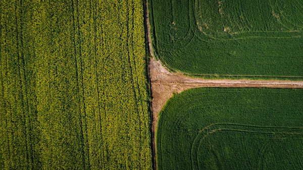 Swartland 油菜籽和麦田上空的空中影像 — 图库照片