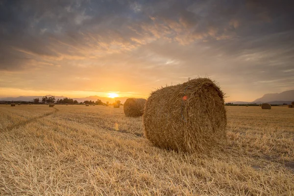 Panoramic Views Brilliant Sunset Meadow Big Hay Bales — Stock Photo, Image