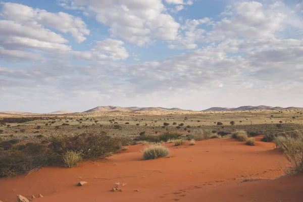 Paisagem Panorâmica Vista Para Região Kalahari África Sul — Fotografia de Stock