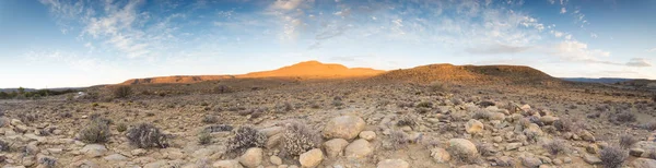 Panoramautsikt Över Landskapet Foto Utsikt Över Kalahari Regionen Sydafrika — Stockfoto