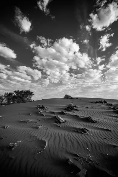 南アフリカ共和国のカラハリ砂漠地域のパノラマ風景写真 — ストック写真