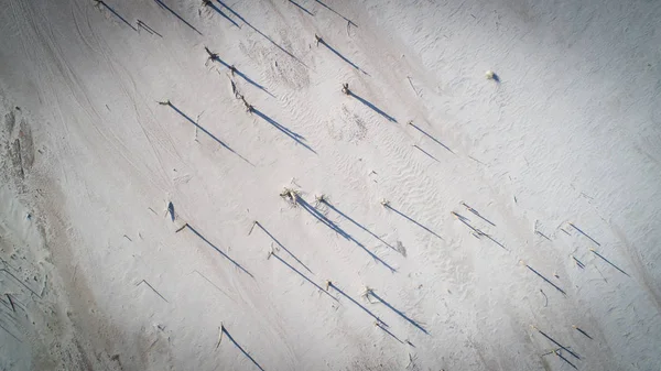 Aerial Image Very Dry Theewaterskloof Dam Worst Drought Decades Western — Stock Photo, Image