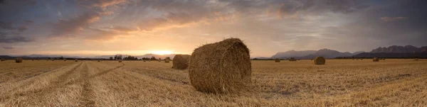 Panoramic Views Brilliant Sunset Meadow Big Hay Bales — Stock Photo, Image